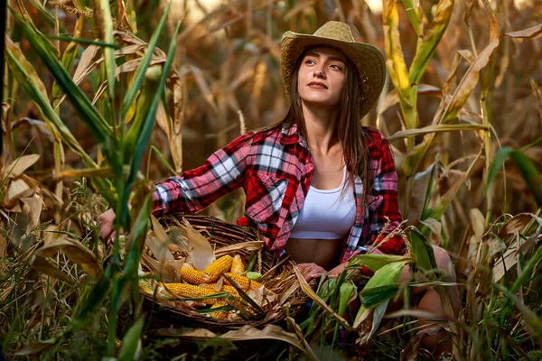 Mladá Krásná Farmářka Žena Klobouku Kostkované Košile Při Sklizni Kukuřice — Stock fotografie