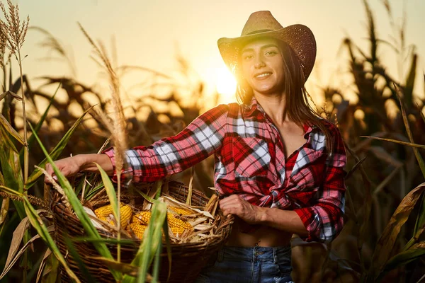 Mladá Krásná Farmářka Žena Klobouku Kostkované Košile Při Sklizni Kukuřice — Stock fotografie