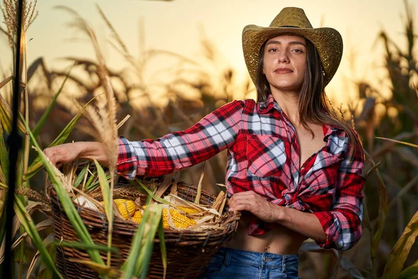 Mısır hasadında şapkalı ve ekose gömlekli güzel çiftçi kadın.
