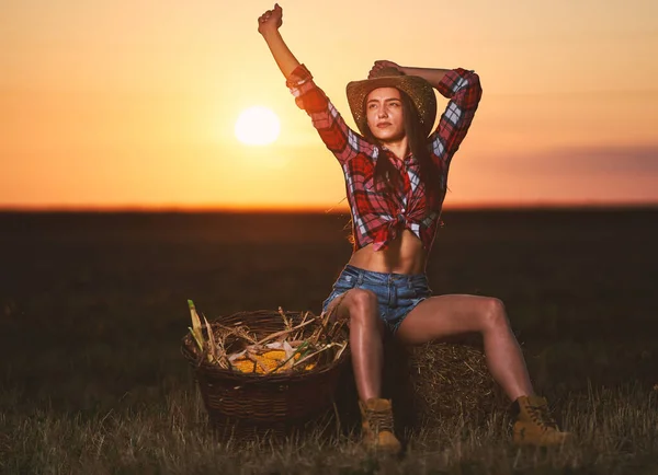 Jovem Mulher Bonita Agricultor Chapéu Camisa Xadrez Colheita Milho — Fotografia de Stock