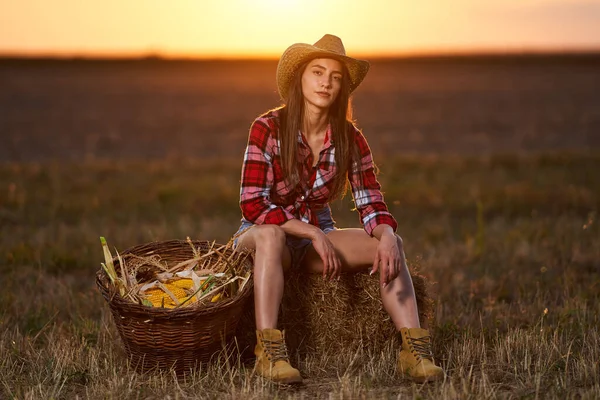 Fiatal Gyönyörű Farmer Kalapban Kockás Ingben Kukoricatermesztésen — Stock Fotó