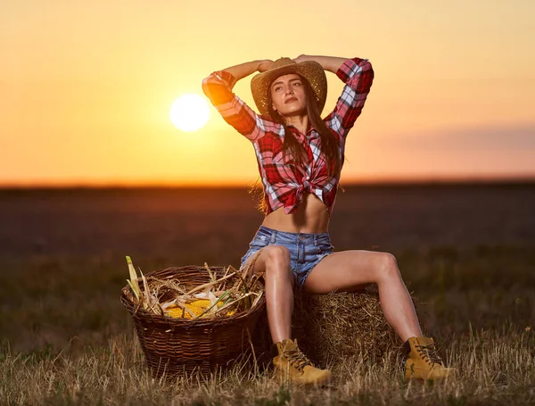 Mısır hasadında şapkalı ve ekose gömlekli güzel çiftçi kadın.