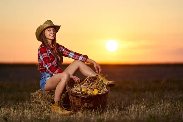 Mısır hasadında şapkalı ve ekose gömlekli güzel çiftçi kadın.