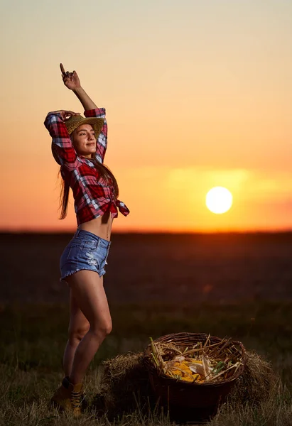 Młoda Piękna Rolniczka Kapeluszu Koszuli Kratę Podczas Zbiorów Kukurydzy — Zdjęcie stockowe