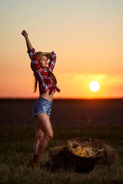 Mladá Krásná Farmářka Žena Klobouku Kostkované Košile Při Sklizni Kukuřice — Stock fotografie