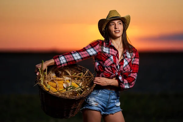 Jovem Mulher Bonita Agricultor Chapéu Camisa Xadrez Colheita Milho — Fotografia de Stock