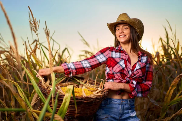 Ung Vacker Bonde Kvinna Hatt Och Rutig Skjorta Vid Majs — Stockfoto