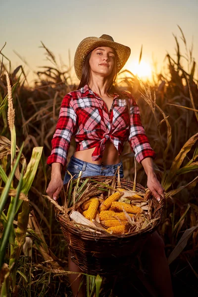 Tânără Frumoasă Femeie Fermier Pălărie Cămașă Carouri Recolta Porumb — Fotografie, imagine de stoc