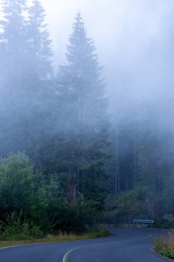 Asfalt yolu sislerin arasından dağlara çıkıyor.