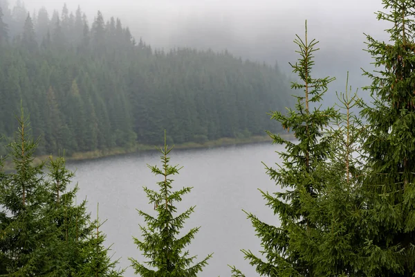 Landscape Lake Misty Forest Mountains Rainy Day — Stock Photo, Image