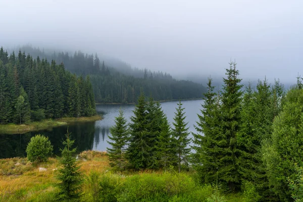 Paisaje Con Lago Bosque Brumoso Las Montañas Día Lluvioso —  Fotos de Stock