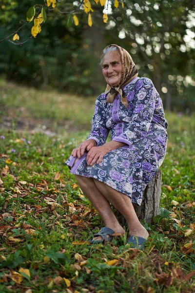 Herbstporträt Einer Älteren Bäuerin Die Bei Sonnenuntergang Ihrem Obstgarten Sitzt — Stockfoto