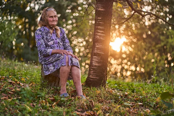 Retrato Outonal Uma Agricultora Sênior Sentada Seu Pomar Pôr Sol — Fotografia de Stock