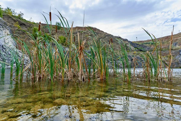 Landscape Lake Formed Ancient Quarry Sedimentary Rocks Geological Layers Visible — Stock Photo, Image