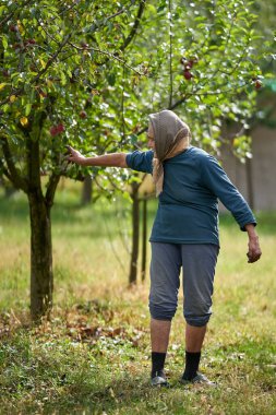 Bahçesindeki kırsal kesimdeki yaşlı kadın, kırsal kesimdeki portresi.