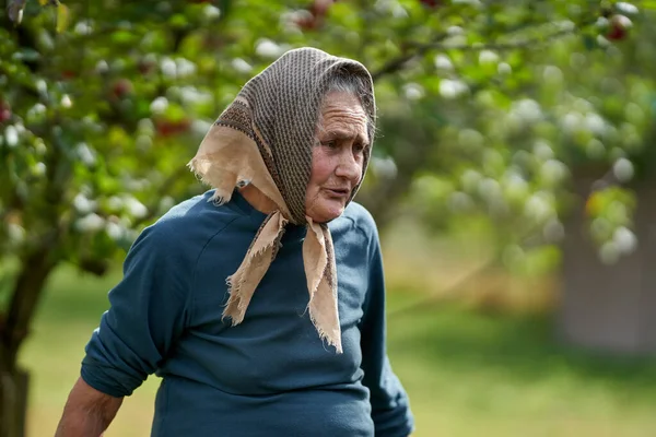 Alte Landfrau Ihrem Obstgarten Landporträt — Stockfoto
