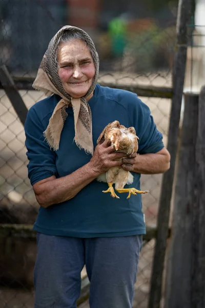 Alte Bäuerin Hält Ihr Hühnchen Freien — Stockfoto