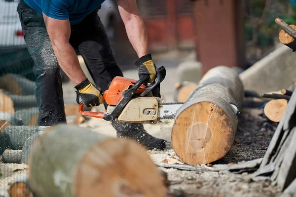 Gesneden Doorsnede Van Beukenhout Met Kettingzaag — Stockfoto