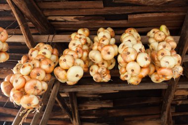 Ahşap arka planda asılı örülmüş soğan halatlarının yakın çekimi