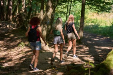 Üç kadın gölgeli bir orman patikasında birlikte yürüyorlar. Yaz yolculuklarına devam ederken arkadan görülüyorlar.