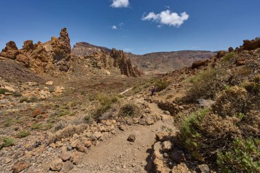 Tenerife 'de Roques de Garcia civarında sırt çantalı aktif bir kadın yürüyüşçü ve fotoğrafçı.