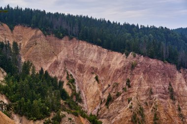 Romanya 'nın Apuseni Ulusal Parkı' ndaki kozalaklı ormanlarla Groapa Ruginoasa 'nın sarp kayalıkları aşındı
