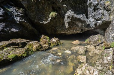 Romanya 'nın başkenti Apuseni Ulusal Parkı' nda akan su ve yosunlu kayalarla dolu bir kireçtaşı mağarasından çıkan Izbucul Ponor karst pınarı, manzaralı bir tatil beldesi.