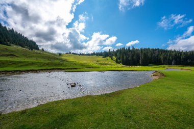 Ponor deresi, Romanya 'nın popüler bir seyahat beldesi olan Romanya' nın Apuseni Ulusal Parkı 'ndaki yeşil otlakta otlayan bir koyun sürüsüyle