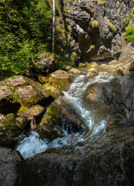 Romanya 'nın Apuseni Ulusal Parkı' ndaki Izbucul Ponor 'da karst mağarasına girmeden önce Ponor deresi yosunlu kayaların üzerinden akıyor.