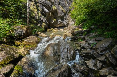Romanya 'nın Apuseni Ulusal Parkı' ndaki Izbucul Ponor 'da karst mağarasına girmeden önce Ponor deresi yosunlu kayaların üzerinden akıyor.
