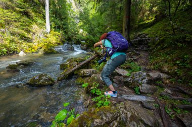 Female hiker with backpack photographing Ponor creek with a smartphone while standing on the rocky forest trail in Apuseni National Park, Romania, a scenic travel destination