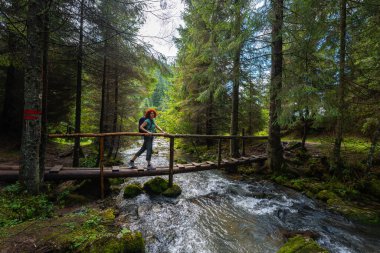 Active female hiker with backpack crossing a wooden bridge over Ponor creek in Apuseni National Park, Romania, a scenic outdoor travel destination