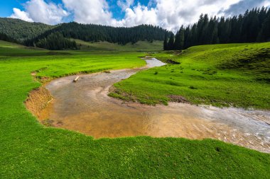 Ponor deresi, Romanya 'nın Apuseni Ulusal Parkı' ndaki yeşil çayır ve ormanla çevrili subatan çukurlara inmeden önce