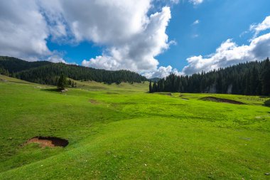 Romanya 'nın Apuseni Ulusal Parkı' ndaki karst subatanı ve çevresindeki orman tepeleriyle