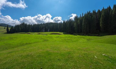 Parçalı bulutlu bir gökyüzünün altında subatan, orman kenarı ve Karpatya dağlarıyla