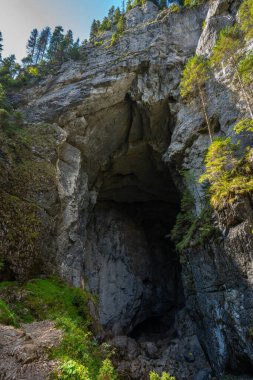 Apuseni Doğal Parkı 'ndaki Cetatile Ponorului' nin Doline 1 olarak bilinen devasa kireçtaşı mağarası girişi.