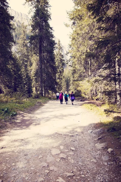 Vista Del Paisaje Montaña Zakopane Polaco Montañas Tatra —  Fotos de Stock