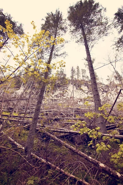 Veduta Del Paesaggio Montano Zakopane Monti Tatra Polacchi — Foto Stock