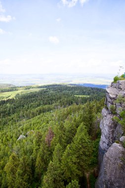 Sudety dağın orman Polonya