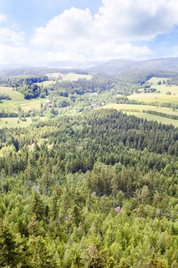 Sudety dağın orman Polonya