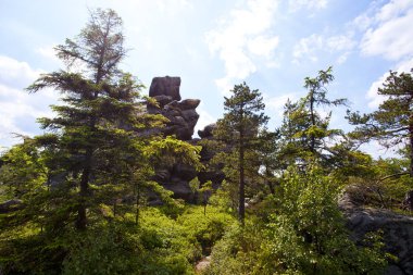 Sudety dağın orman Polonya