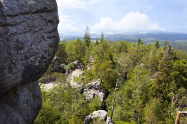 Sudety dağın orman Polonya