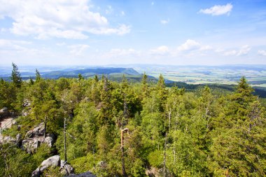 Sudety dağın orman Polonya