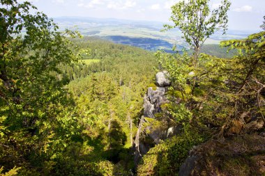 Sudety dağın orman Polonya