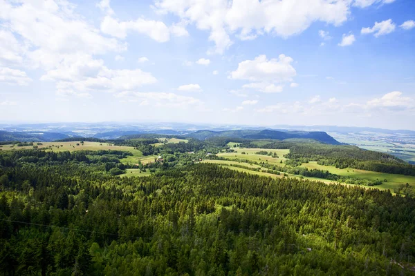 Sudety Mountain Forest Poland — Stock Photo, Image