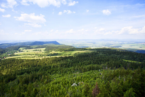 Sudety mountain forest in Poland