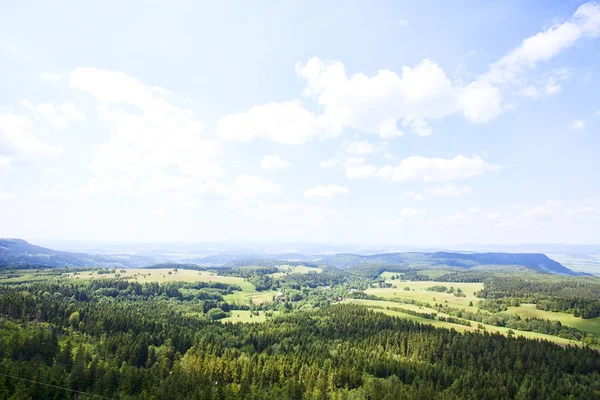 Sudety Mountain Forest Poland — Stock Photo, Image