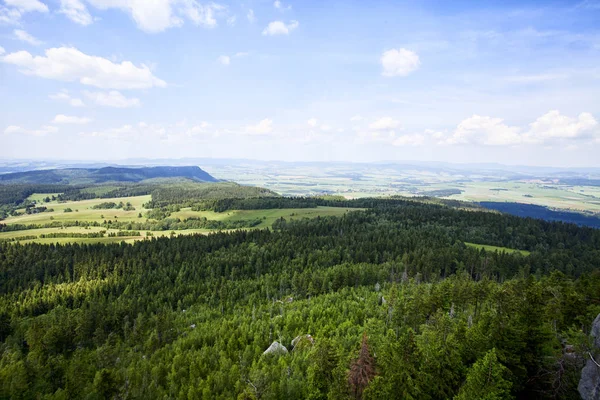 Sudety Mountain Forest Poland — Stock Photo, Image