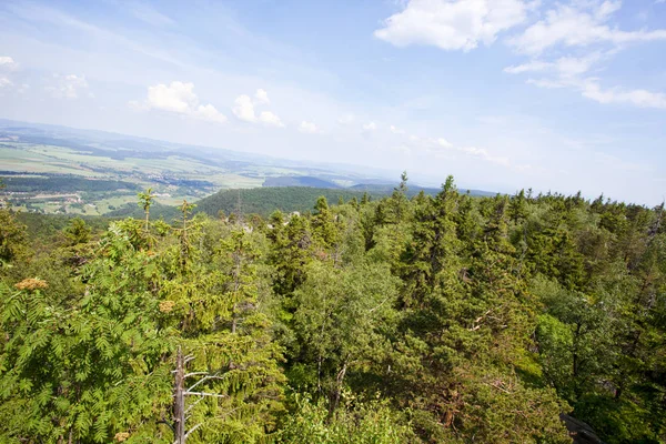 Sudety Mountain Forest Poland — Stock Photo, Image