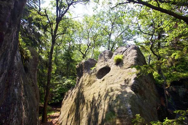 Sudety Mountain Forest Poland — Stock Photo, Image